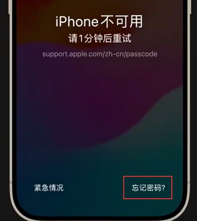 科尔沁右翼前苹果手机密码维修分享iPhone忘记了刚设置的密码 